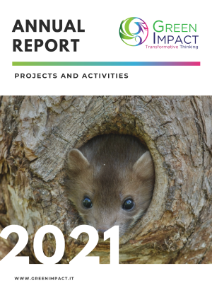 Report Green Impact 2022 (2)