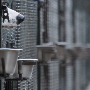 Screenshot 2026-01-28 alle 23.40.31