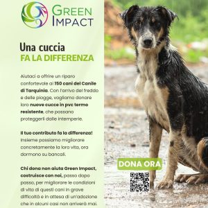 WhatsApp Image 2026-02-12 at 12.26.03