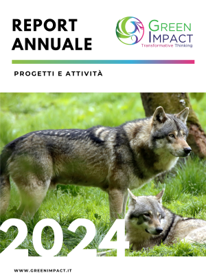 cover ita report annuale 2024
