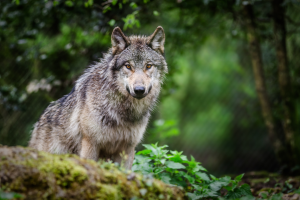 Copia di newsletter (1)