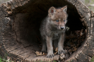 Copia di newsletter (2)