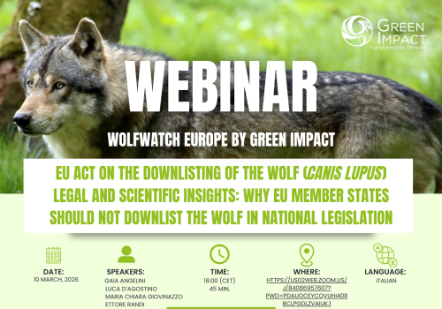 White and Green Modern Geometric Online Business Webinar Flyer