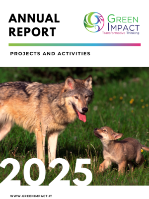 Report Green Impact 2025-2