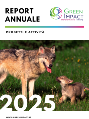 Report Green Impact 2025